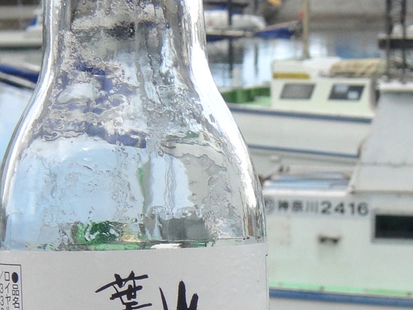 0047hayama.jpg