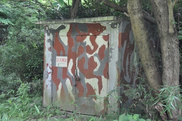 1107.jpg