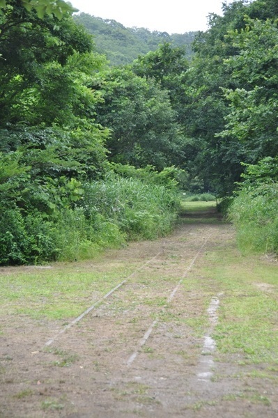 1110.jpg