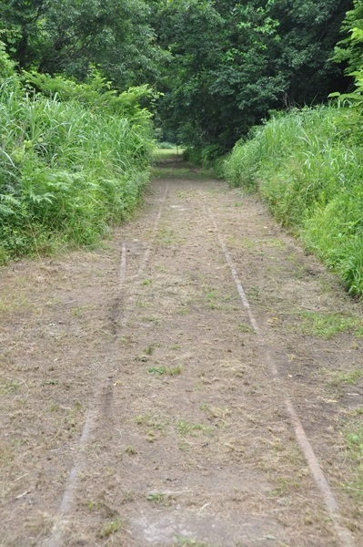 1114.jpg