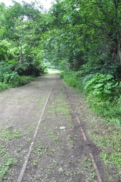 1116.jpg