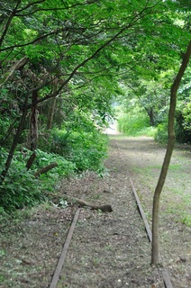 1127.jpg